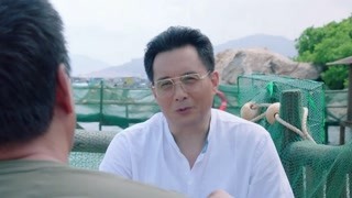 湾区儿女 第28集预告
