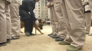 失蹤妻子身陷離奇血案