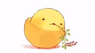 萌宠小鸡养成攻略