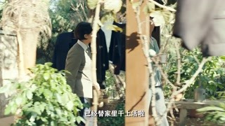 50后一代人的成长史