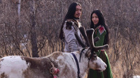 首次揭秘鄂温克族使鹿文化