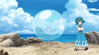球球海狮展示吹气球 小智长见识