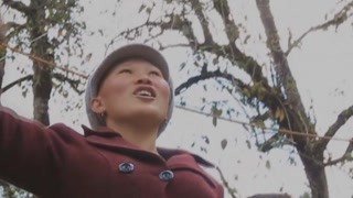 你的全身我都喜欢 石斛真是野生植物中的宝贝