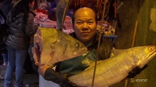 歪果仁逛香港传统市场被鱼市惊呆？  隔着屏幕都闻到一股腥味