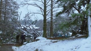 杭州被罕見大雪襲擊？西湖動植物遭受嚴峻考驗