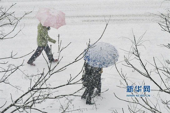 山东烟台普降大雪(3) 第3页