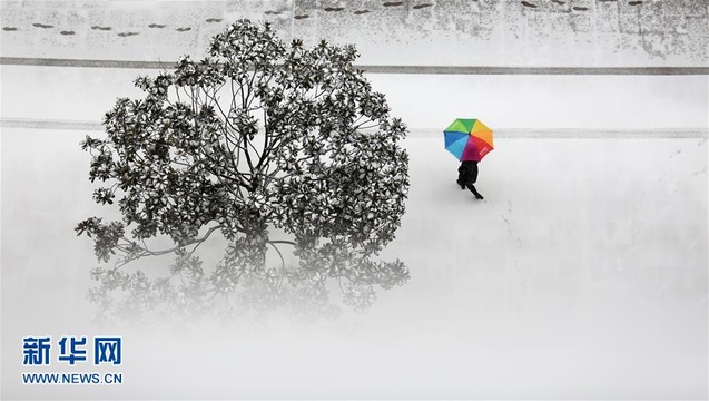 山东多地迎来降雪 第1页