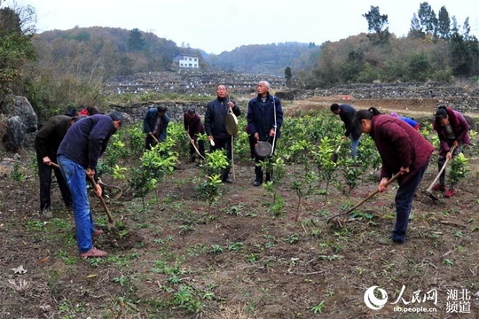 宜昌民间艺人自编“薅草锣鼓”唱红歌(2) 第2页