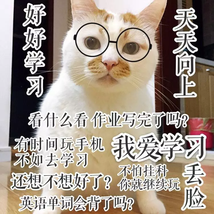 带猫的网名