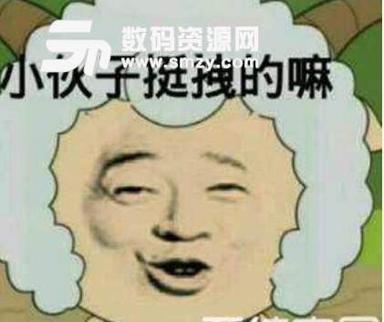 狂拽傲气的网名