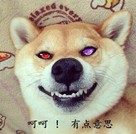 柴犬情头