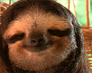 疯狂猜图 白狗 动o+_疯狂猜图一只狗答案汇总 讲解动漫狗 白狗 游戏狗答案(2)