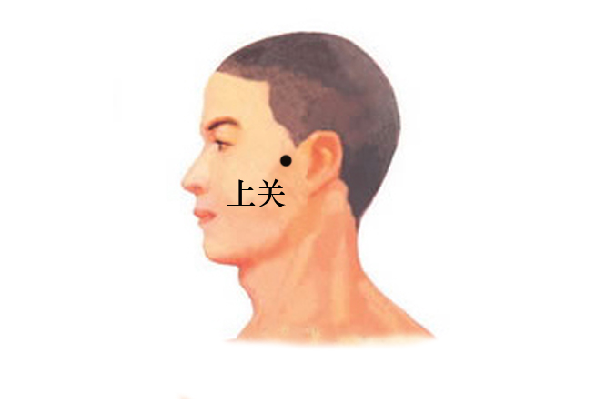 【取穴方法】 在耳前,下关直下,当颧弓的上缘凹陷处.