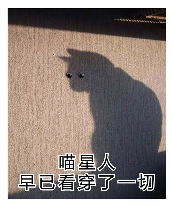 动物才是最棒的表情包元素    ▽ 一只 肥猪莫名其妙就火了 因为人家