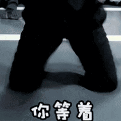 240_240 gif 动态图 动图