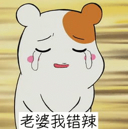 微笑老婆我错了