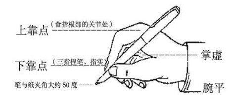 烟台瑞栋书法练习培训学校-培训通