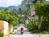 租摩托自驾环苏梅岛；在苏梅如何交交通罚款；在苏梅岛骑摩托必须注意的事情；