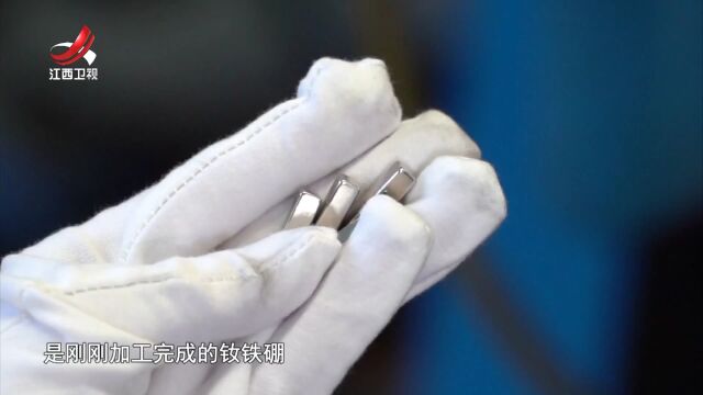 辉煌“十四五”  “赣”出新精彩——守护生态  点绿成金