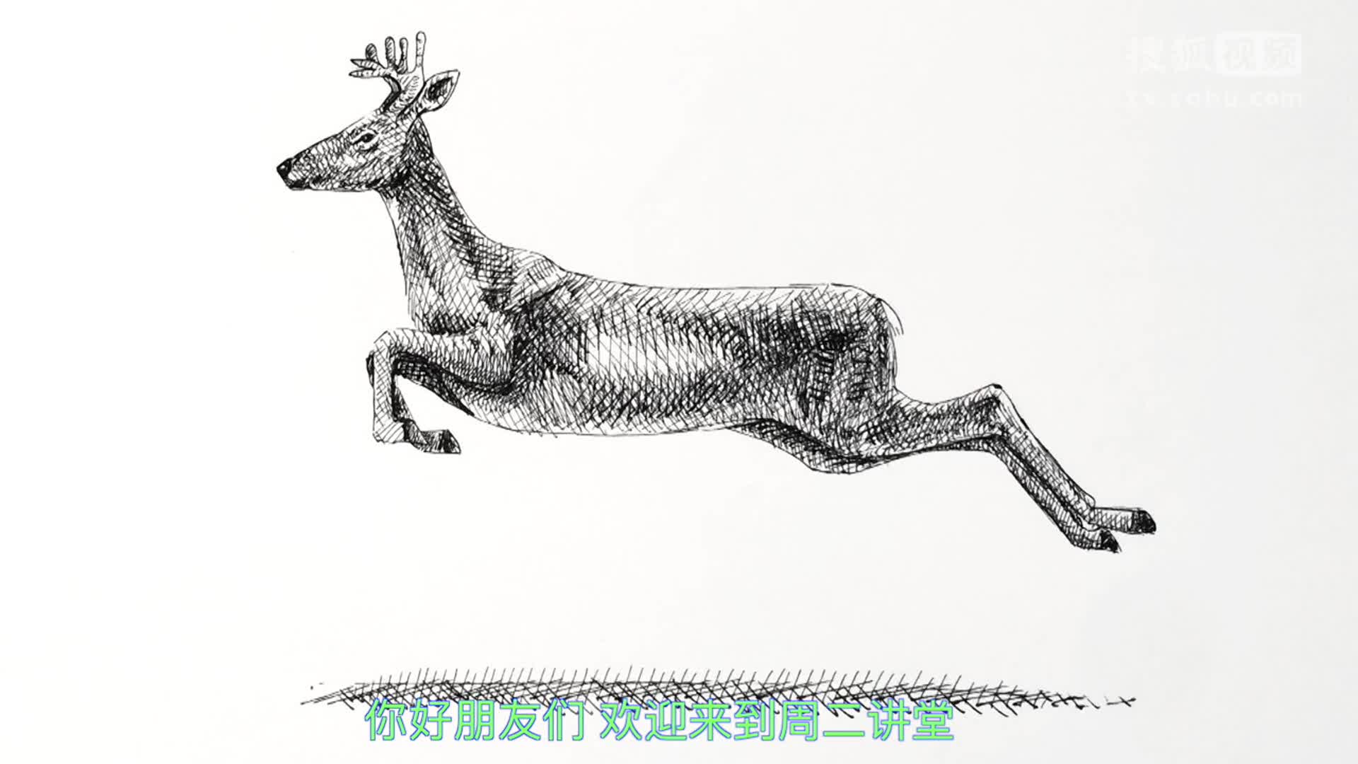 deer！看我是如何画小鹿的 超简单