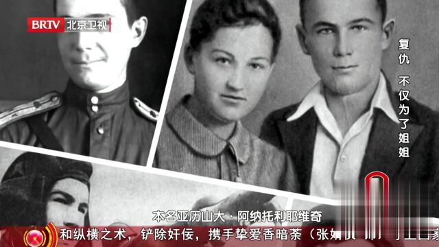 复仇  不仅为了姐姐