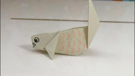 小鲤鱼 06