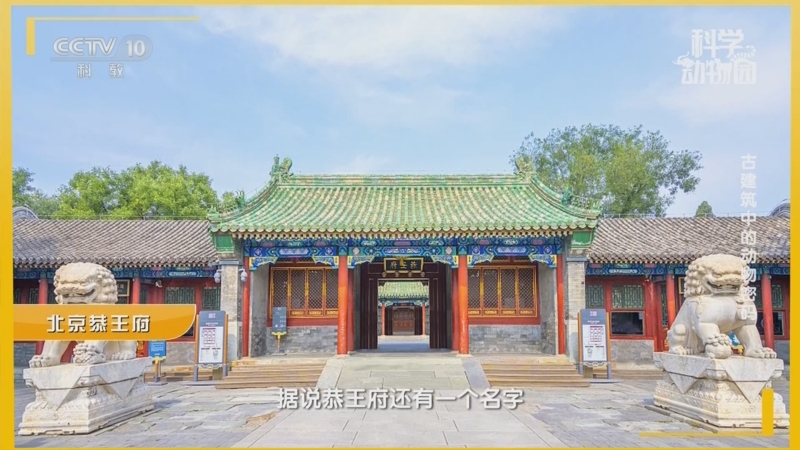 《科學(xué)動物園》 20240531 古建筑中的動物密碼