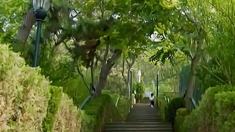 卡酷動(dòng)物園 20200627