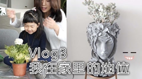 猜猜yv的第一盆绿植是？