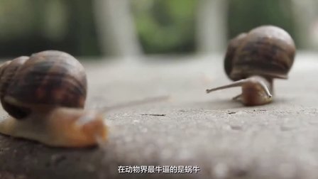 土豆败家指南 140913