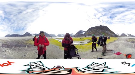 遇见北极熊