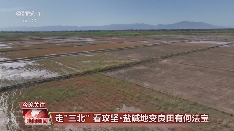 《晚間新聞》 20240605