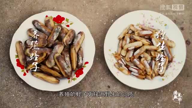 大叔野外发现一个洞，手伸进去一挖，出来的东西让他欣喜不已！