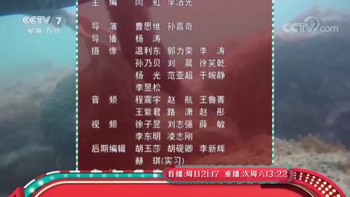 [食尚大转盘]越鲜越诱惑 20190623