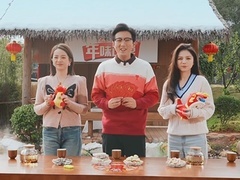 卫视主持人“回忆杀”来袭