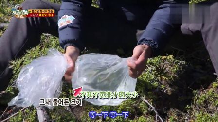《金炳万的丛林法则》-韩国sbs电视台-综艺节目全集-在线观看