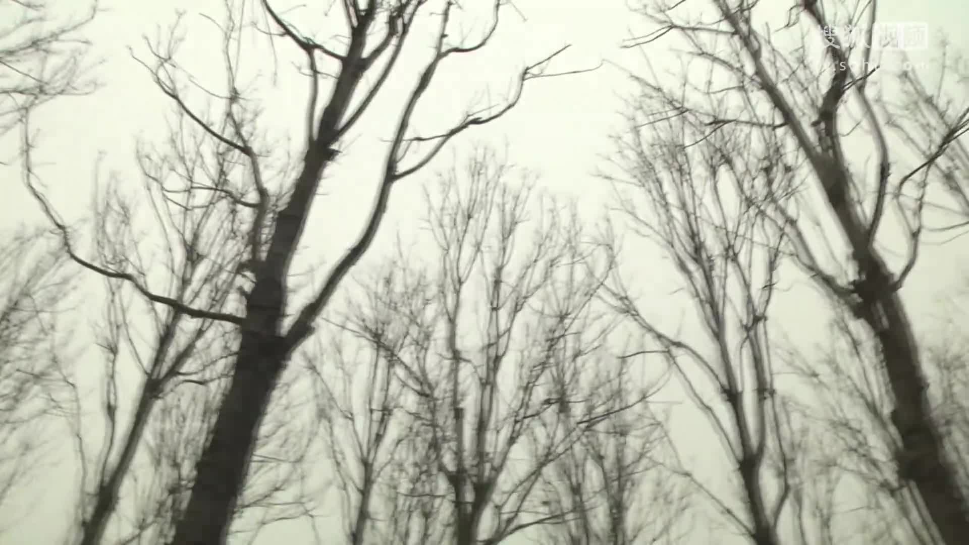 模特选秀
