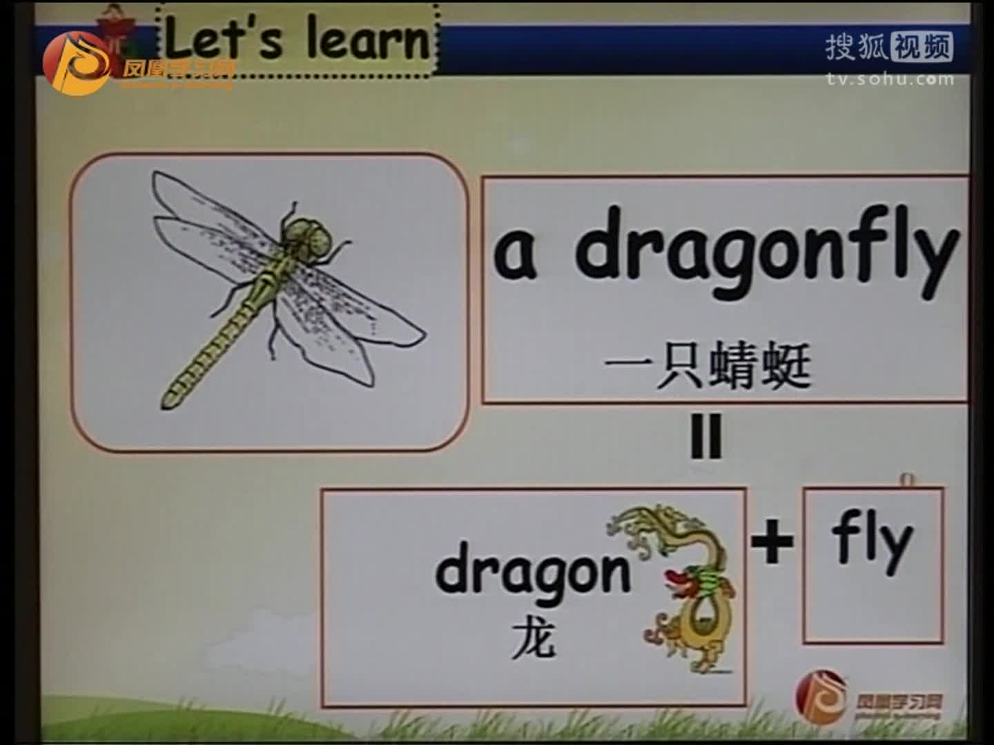 第37集 Unit8 At the weekends 学动物类单词