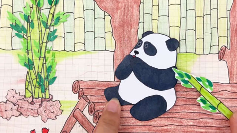 调皮的小熊猫