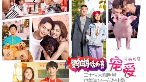大咖云集就是烂片？