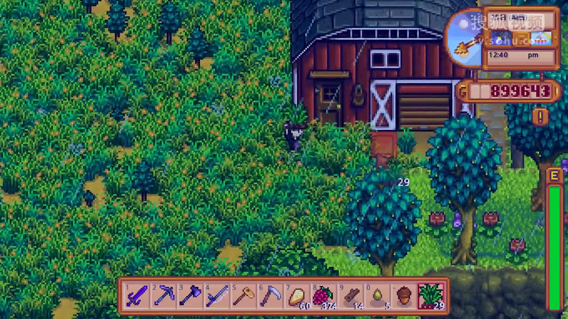 星露谷物语 stardew valley 第53期 松露油遐想 深辰解说