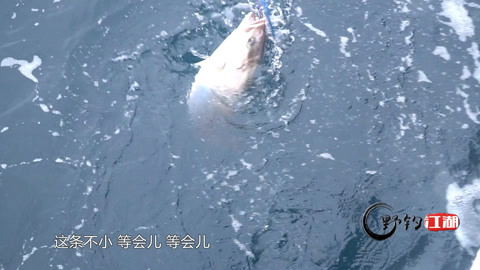 野釣江湖 第10期 海釣濟州島