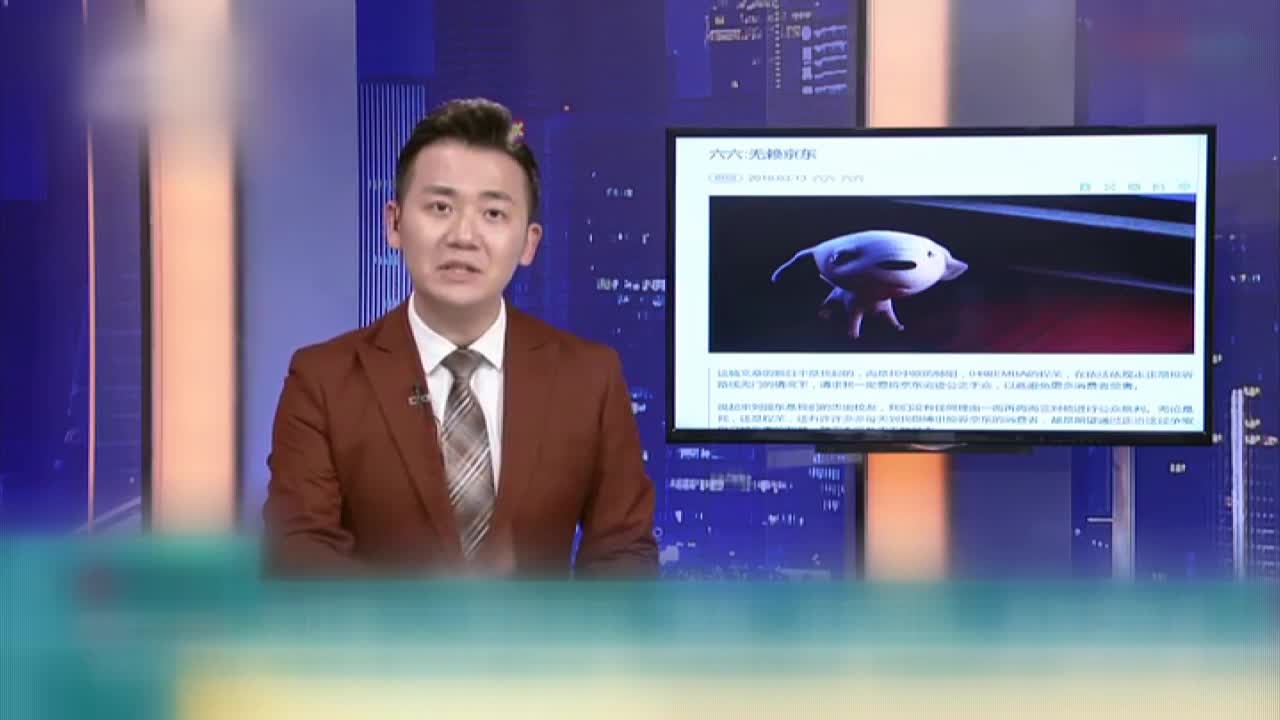 315消费者权益日 网友唱响《打假歌》聚集电商欺诈
