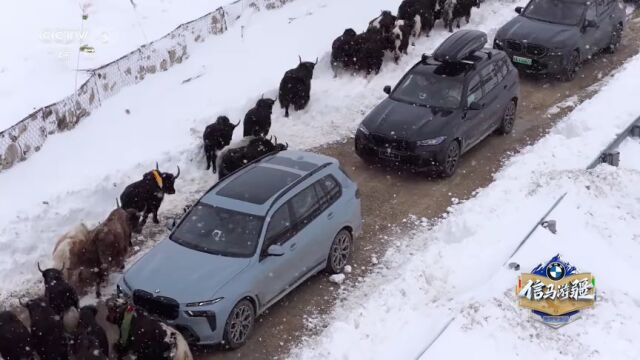 第3期：向地球第三极进发！