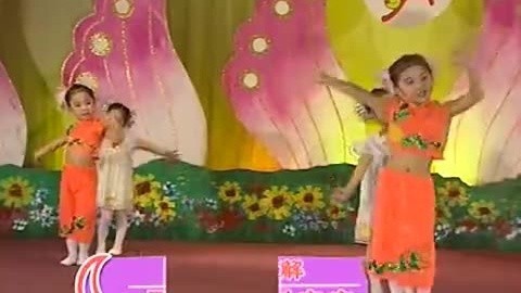 风娃娃和树宝宝教师讲解
