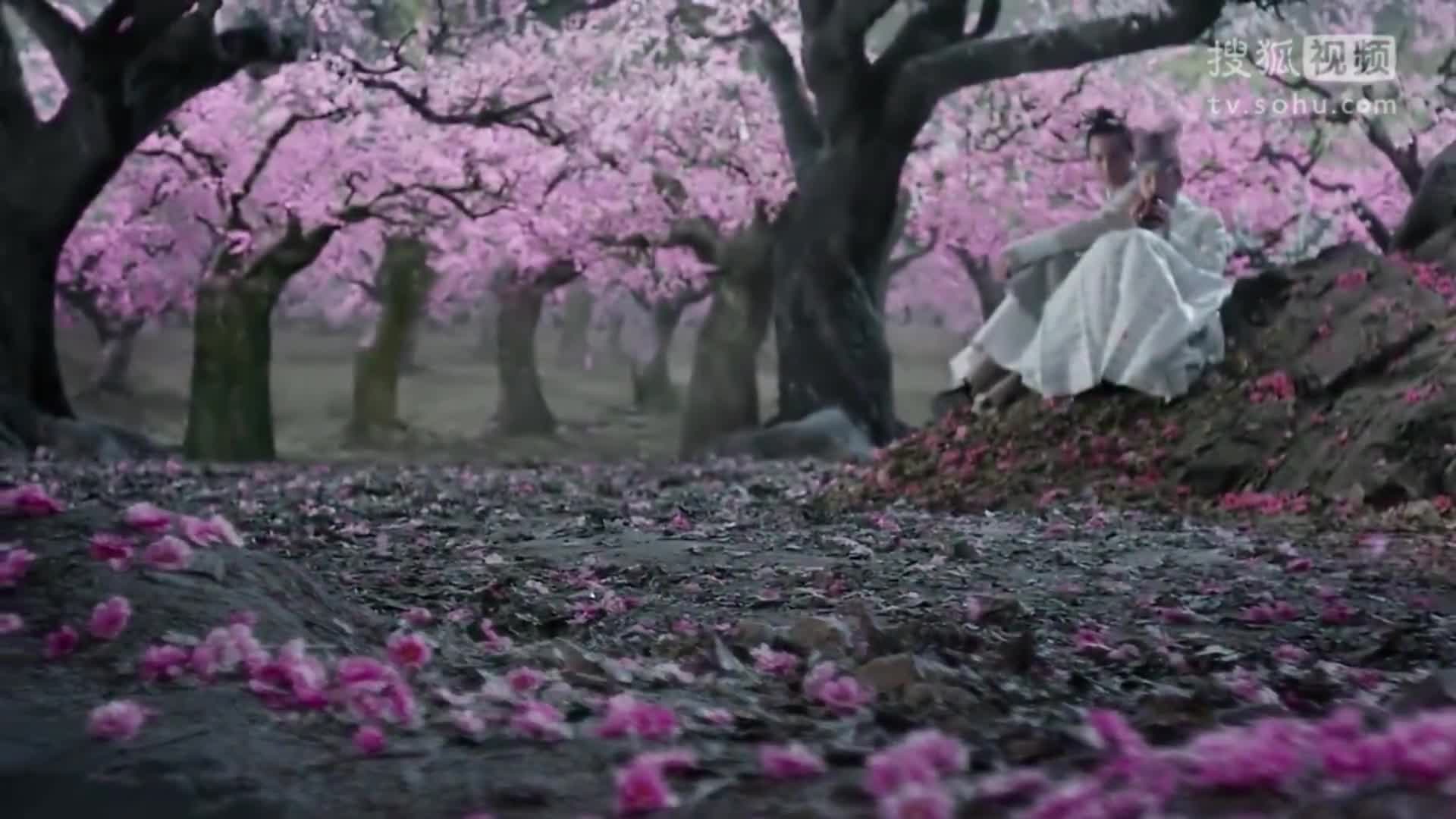 繁花- 董贞 (电视剧《三生三世十里桃花》插曲)