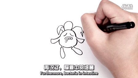 根本没有宿便这事儿 32