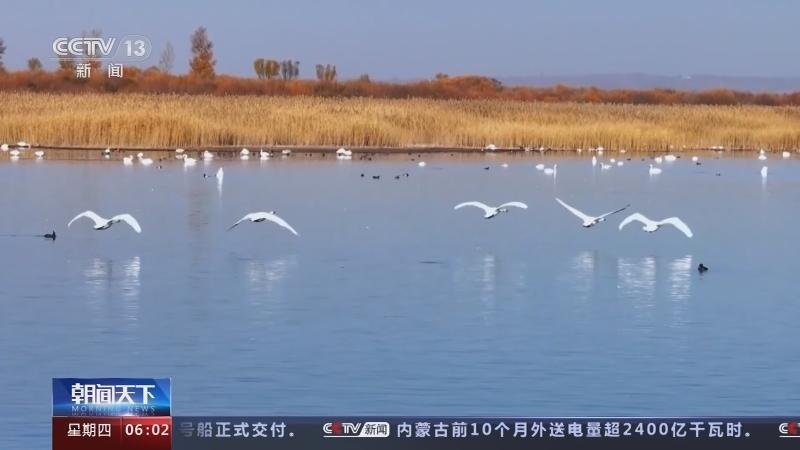 《朝闻天下》 20231130 06:00