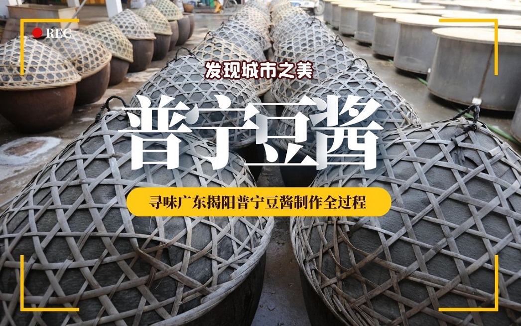 【發(fā)現(xiàn)城市之美】尋味廣東揭陽(yáng)普寧豆醬制作全過(guò)程
