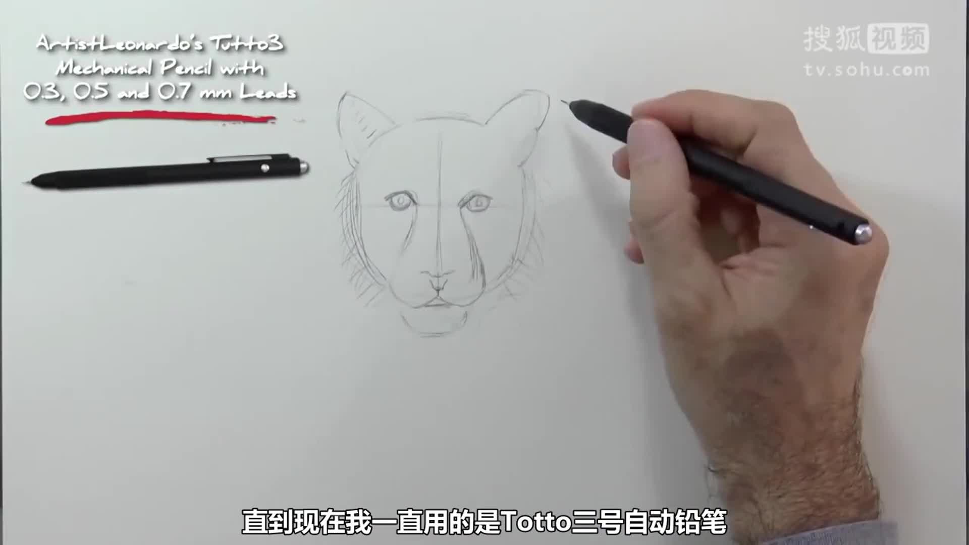 【绘笔万象】教你如何轻松画出老虎正面像